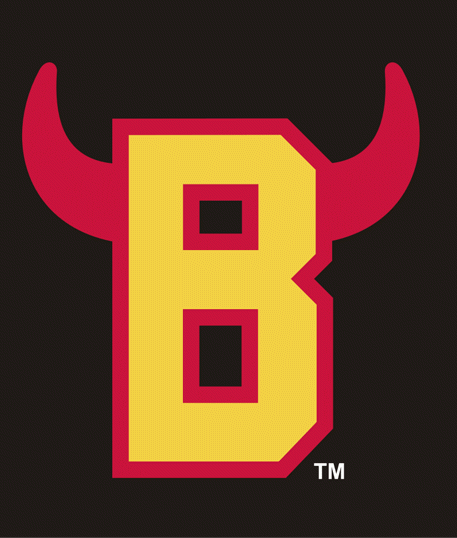 Belleville Bulls 1981-pres secondary logo iron on heat transfer